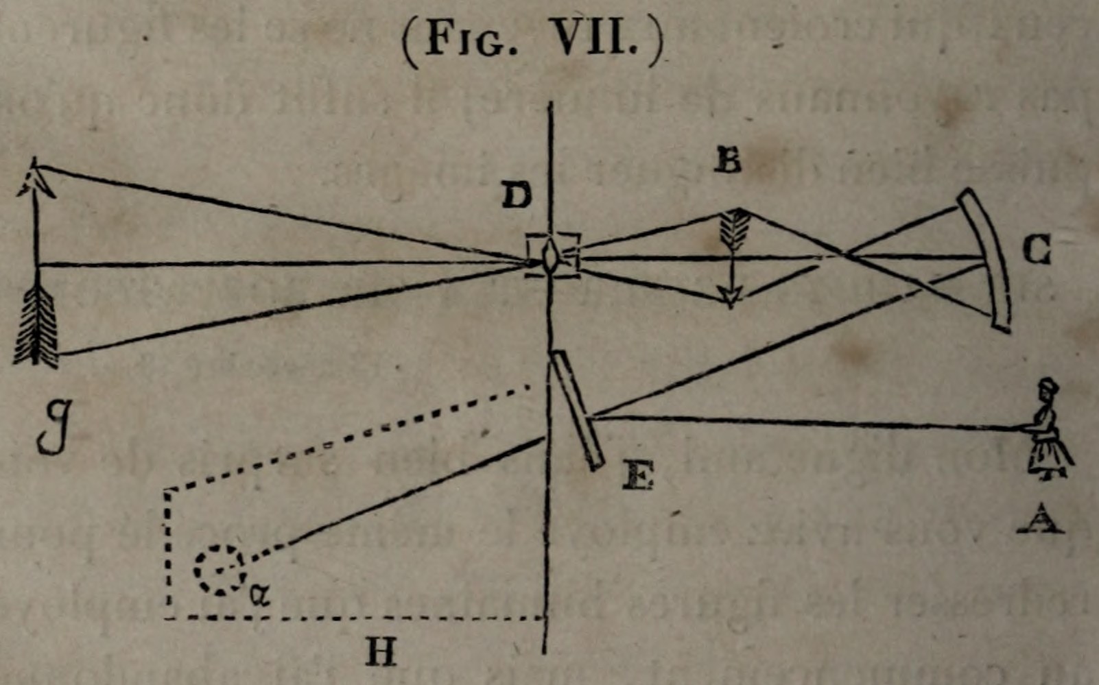 Figure VII. Megascope with mirrors; original engraving
