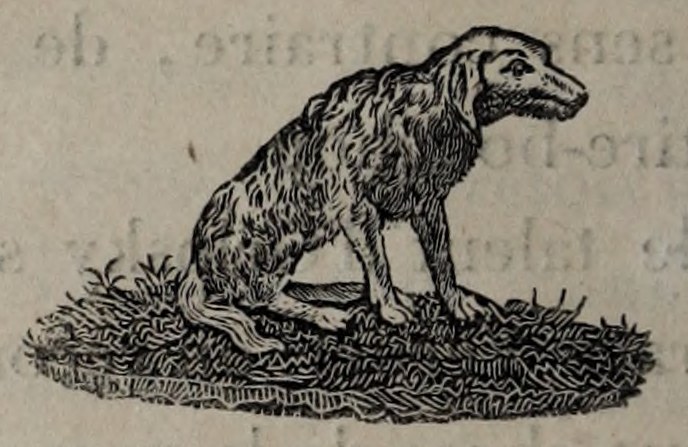 Original dog tailpiece, Volume II, p.286.