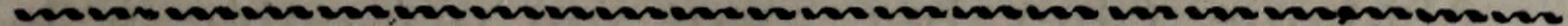 Original chapter ornamental rule