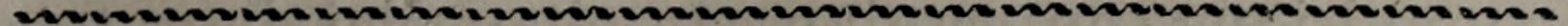 Original chapter ornamental rule
