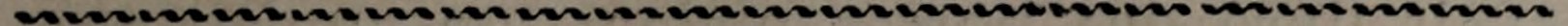 Original chapter ornamental rule