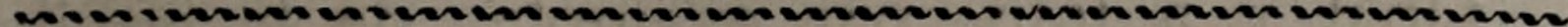 Original chapter ornamental rule